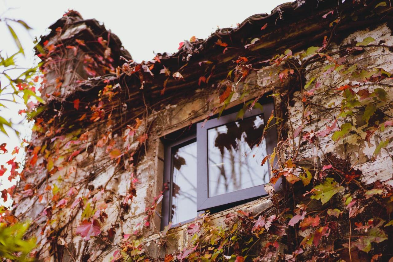 Wuyuan Qiye Yanxiang Guesthouse Exterior photo